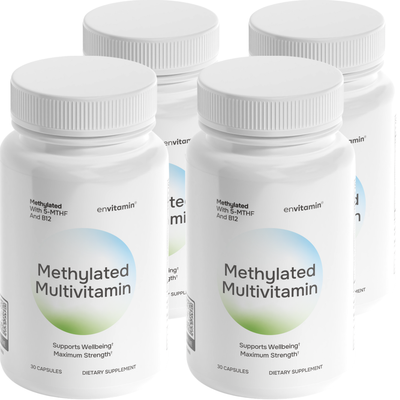 Methylated Multivitamin Bundle