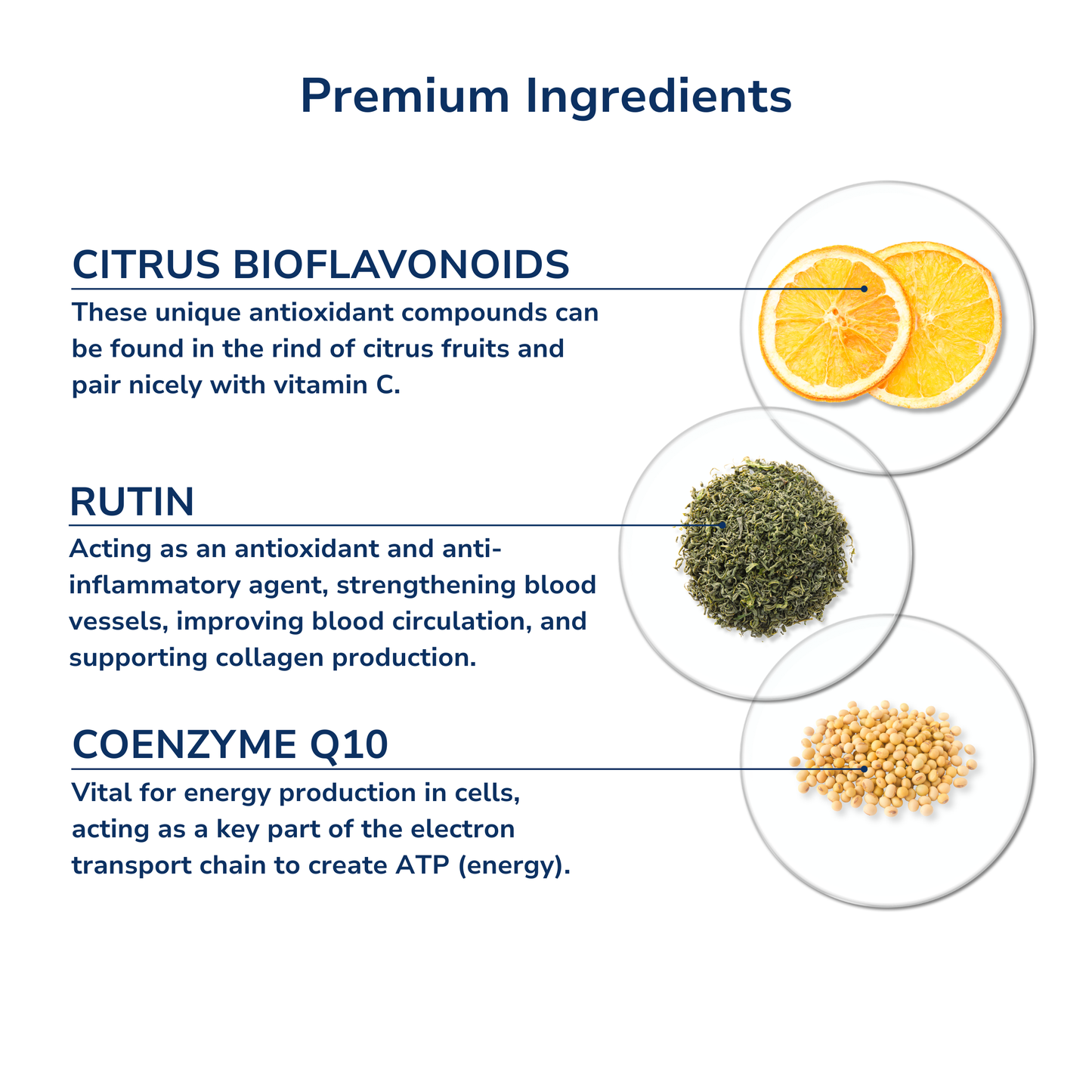 Ultimate Multivitamin