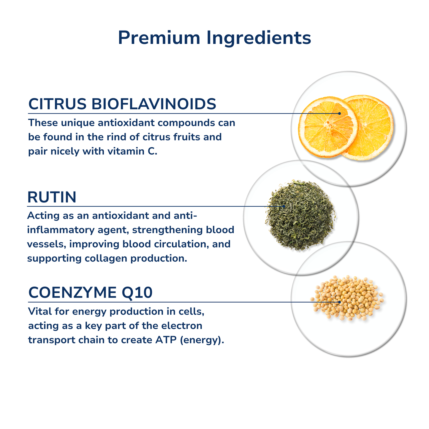 Ultimate Multivitamin